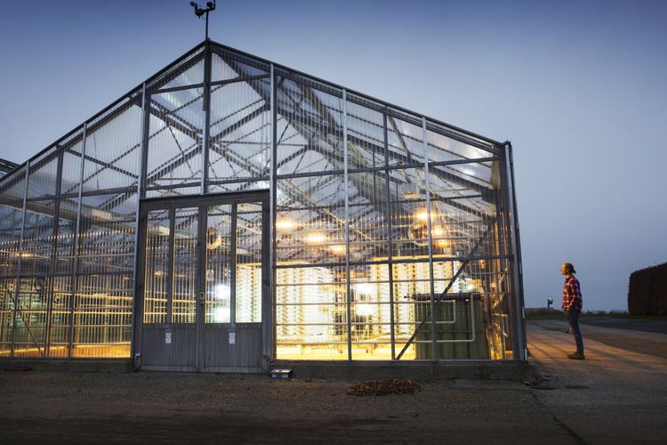 EU-beslut om omega 3-produkter skjuts upp vilket påverkar Simris Alg.