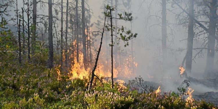 Skogsägare mer medvetna om risker
