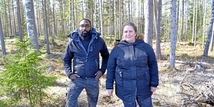 3,5 hektar av deras skog gallrades – av misstag