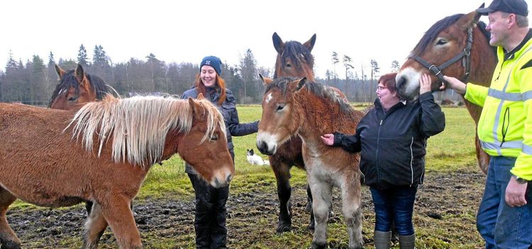 De ger allt för ardennern