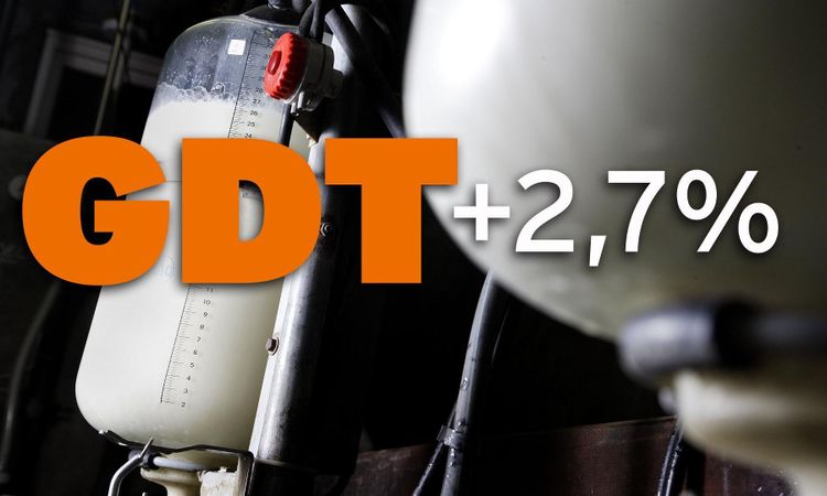 Efter nedgången – mjölkprisindex stiger igen