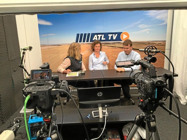 "Skjut fler älgar och plantera mer tall"