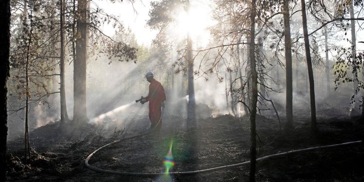 Efter skogsbränderna: Försäkring dubbelt så dyr