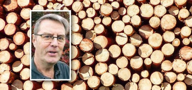 Skogsbolagets krav sänker volympriset