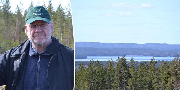 Nygammal skogsägare satsar långsiktigt