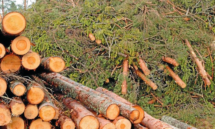 ”Moderaterna vill också satsa på grön teknik”