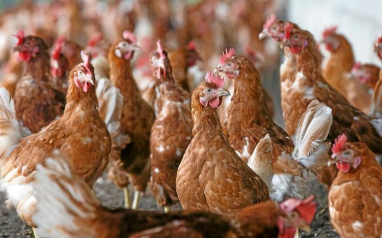 Tre gånger fler har fått magsjuka