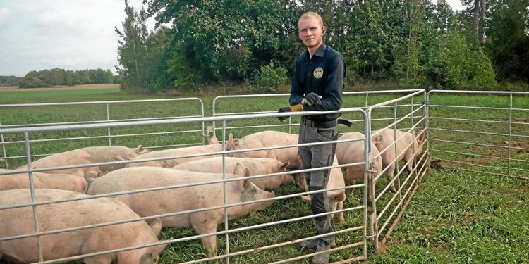 Vägen till framgång – grishus på släp