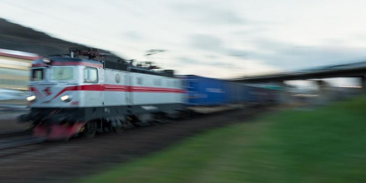 Sju kor dödade av tåget