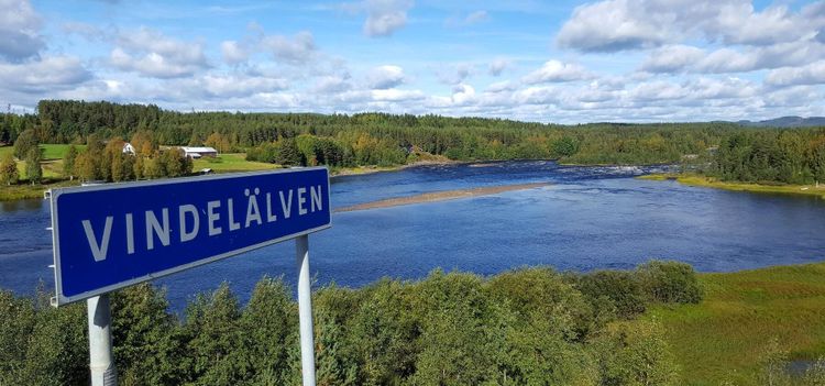 Vindlande väg till världstoppen