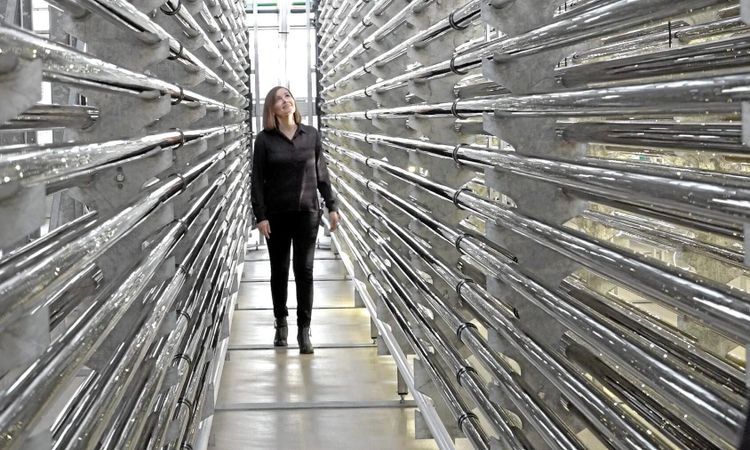 Simris alg: ”Vi lämnar hundåren bakom oss”