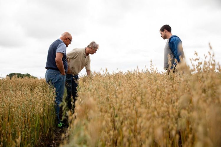 Så ska hushållens skit bli ren gödsel