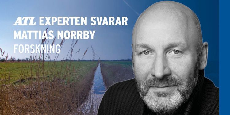 Mer mjölk i tanken med fler äldre kor