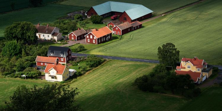 Miljöpolitiken kväver lantbruket