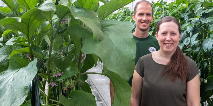 De höjde omsättningen med 7 miljoner