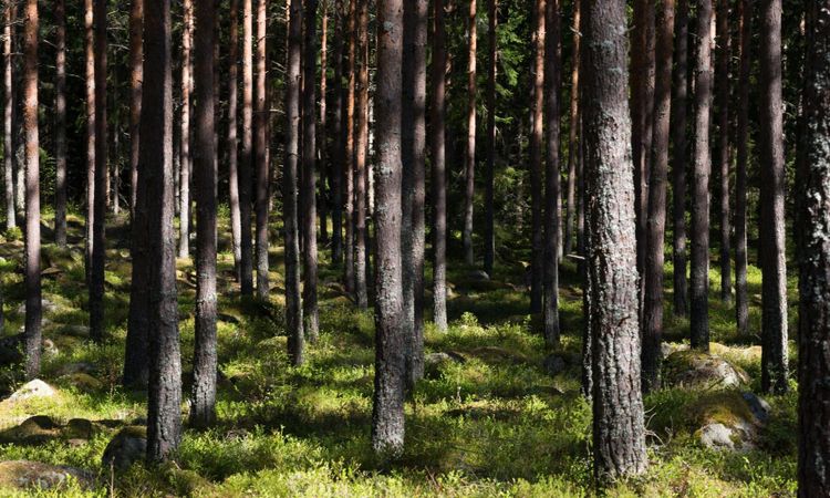 ”Vi behöver få hjälp med inventeringen”