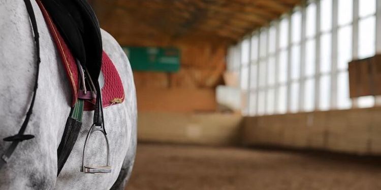 Nytt hästcentrum vid Axevalla