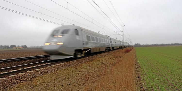 Tåg dödar 80 nötdjur per år