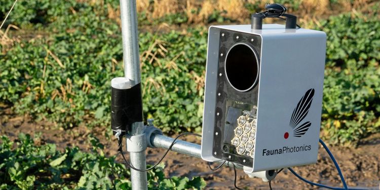 Sensorer på sprutan ska rädda nyttoinsekter