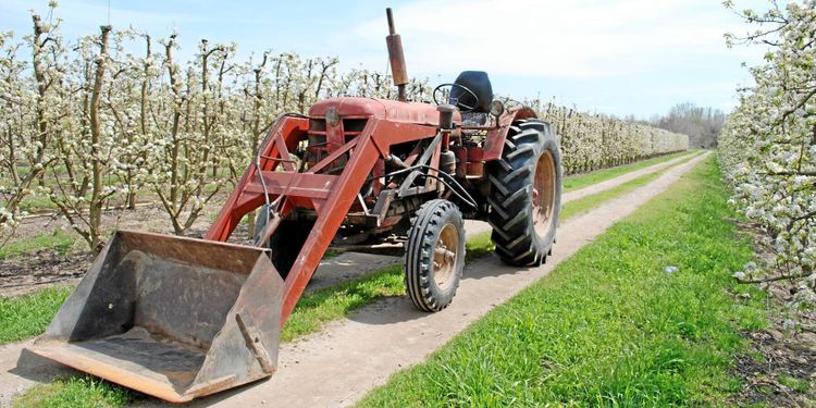 När BM räddade spanska skördar