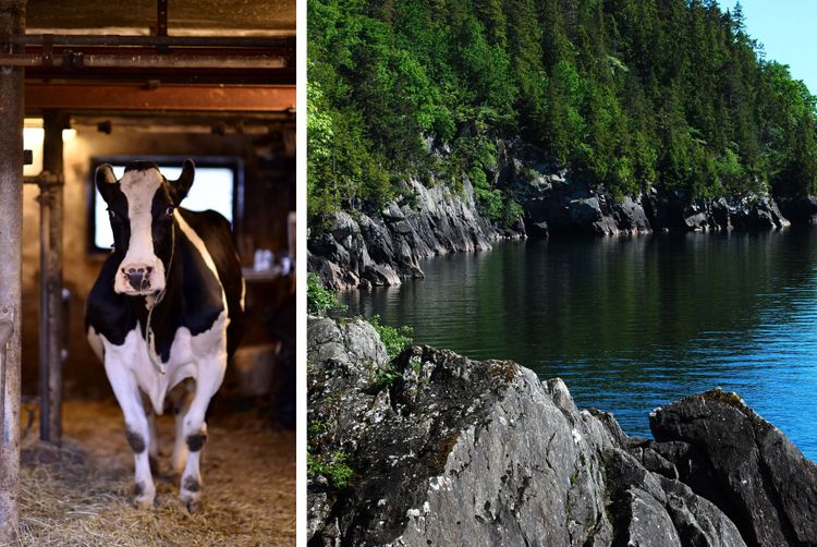 Länsstyrelsen i Jönköping uppmanar redan nu lantbrukarna att spara på vattnet. Bland annat har tillrinningen till den stora vattentäkten Vättern minskat stadigt.