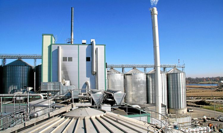 Salmonella i etanolfabriken