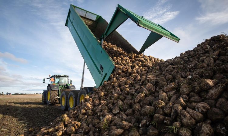 Dispenser för neonikotinoider granskas