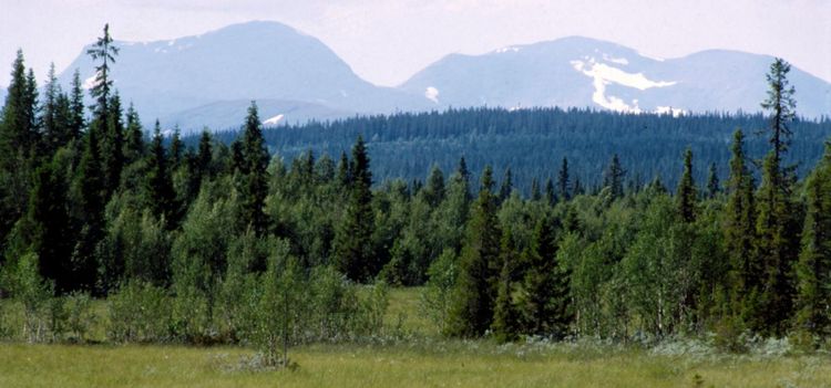 ”Alla skogsägare kan inte stämma staten”