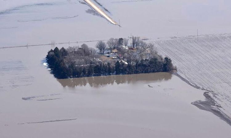 700 grisar döda när gård översvämmades