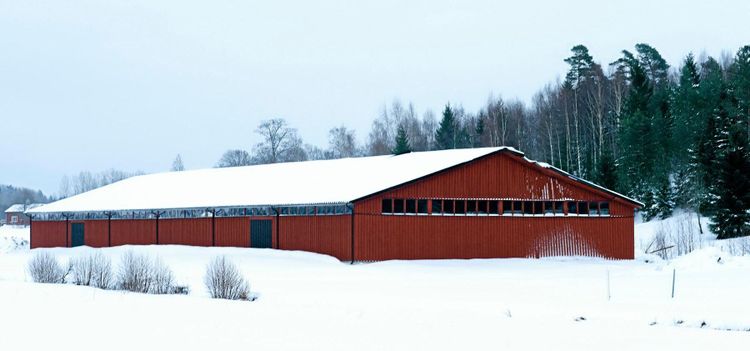 Varför rasar ladugårdstaken?