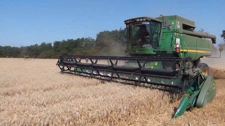 Tröskning på en av Trigon Agris enheter i Ukraina.