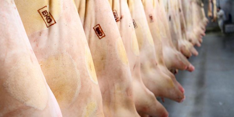 Slakterier slipper del av kontrollavgift