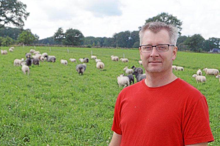 Prissättning upprör fårägare