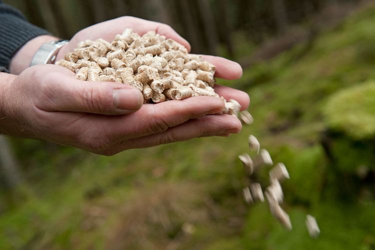 Derome: Jackpott i upphandling