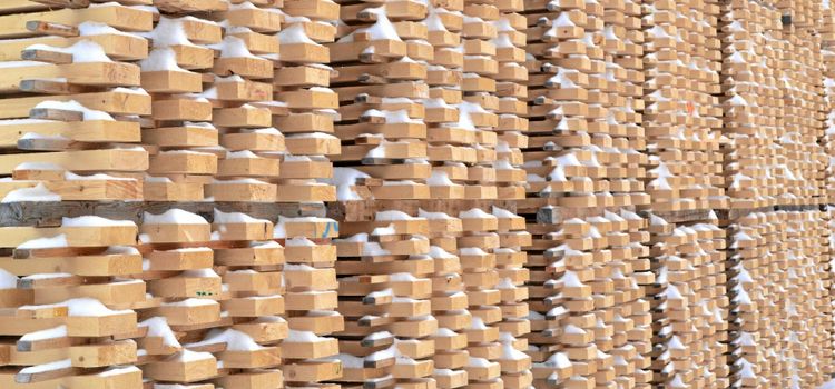 Norrskogs VD om den långa förlustraden