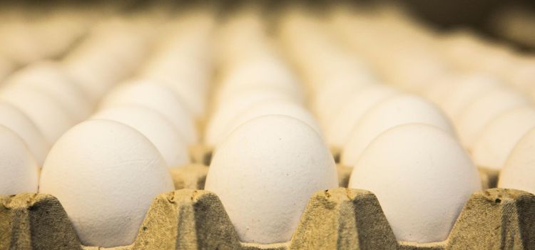 Sydsvenska ägg säljs som norrländska