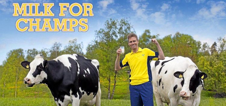 Det bromsar pingisstjärnans mjölkexport