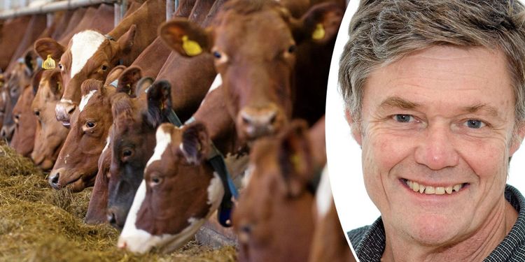 Mer och bättre grovfoder ger högre avkastning