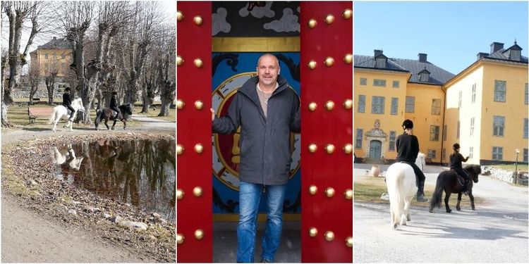 Passande hästar lyfte risigt slott