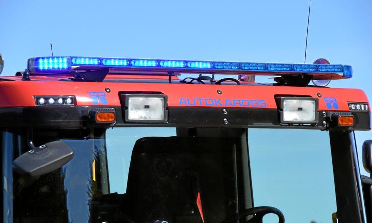 1 300 grisar evakuerades efter brand