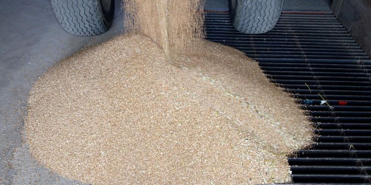 Ökat resultat för Skåne-Möllan