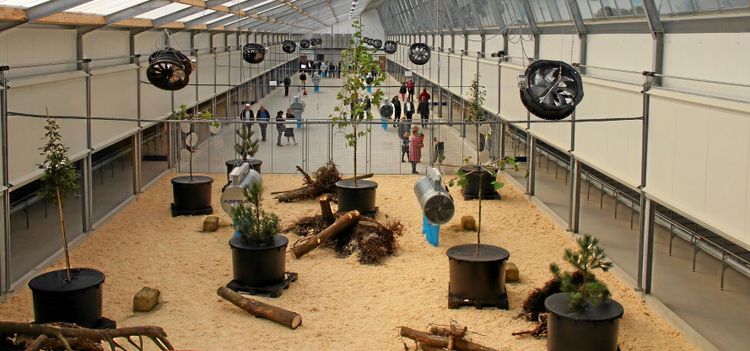 Här är Nederländernas modernaste hönsgård