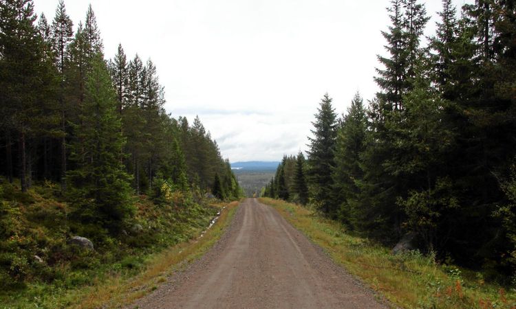 Skogsstyrelsen kräver att fjällmålet avgörs inför öppen ridå