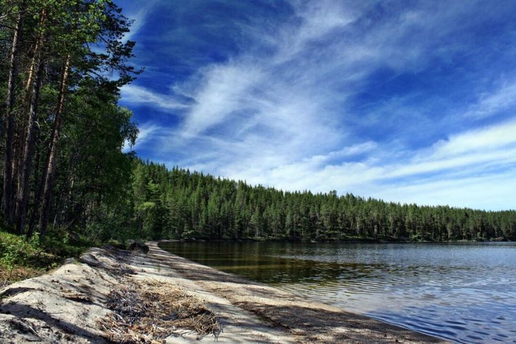 Lättnader i strandskydd för landsbygden