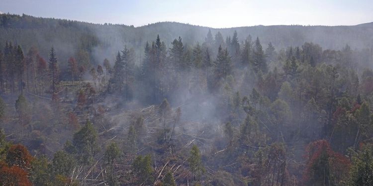 Kommun startar brandutbildningar