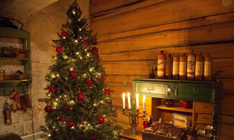 Finare julgranar efter torrsommaren