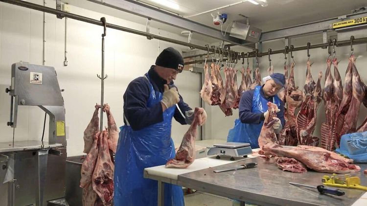 ATL TV: Fler väljer vildsvin på julbordet