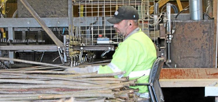 Ekologiska plogpinnar en lysande affärsidé