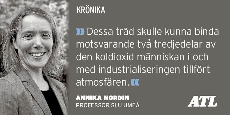 ”Med mer träd kan vi rädda klimatet”
