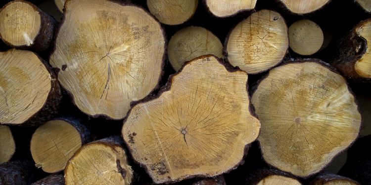 Södra miljardköper i Lettland